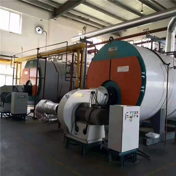 造纸生产锅炉(图1)