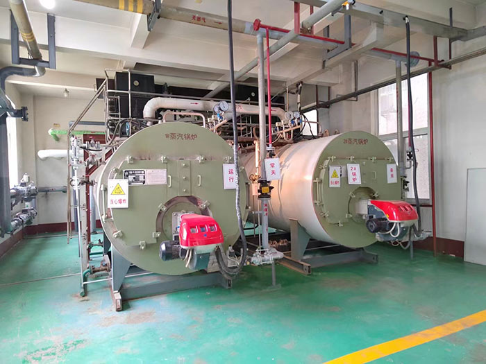 带节能器燃气锅炉