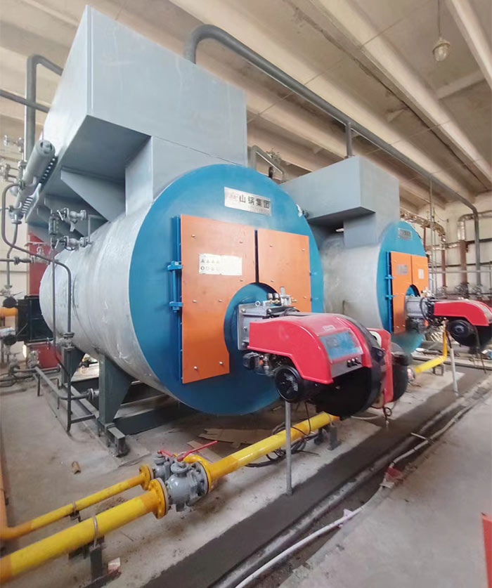 外置三回程燃气锅炉(图1)
